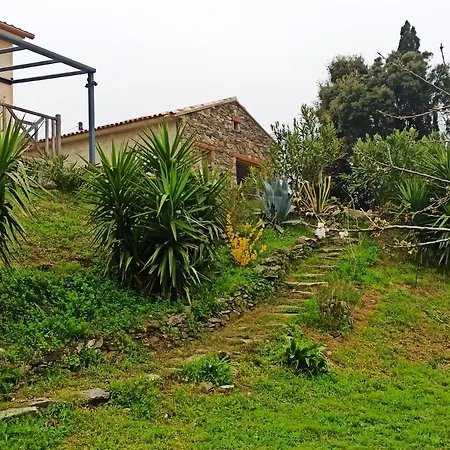 Casa Bonino