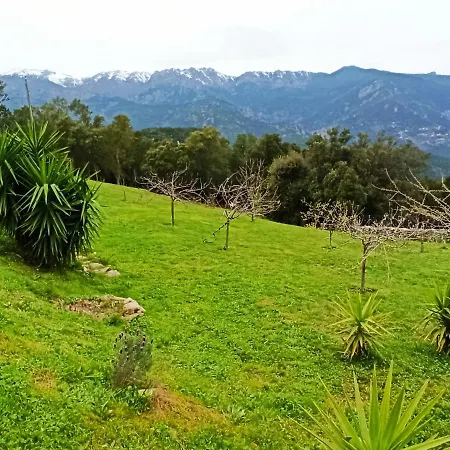 Casa Bonino Guest house