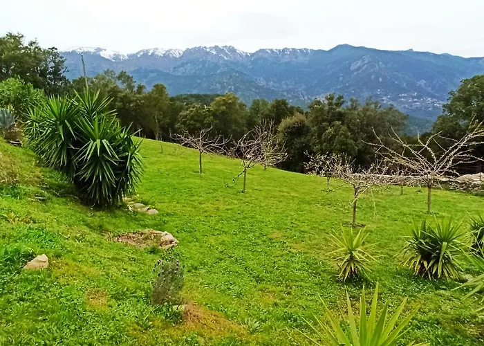 Casa Bonino Pensión